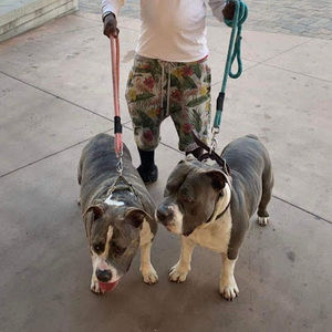 Meet your Posher, Anwar